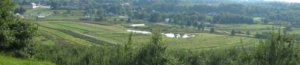cropped-cropped-farmland.png
